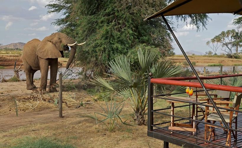 Best Safari in Kenya: The 9-Day North to Mara Safari Circuit Adventure