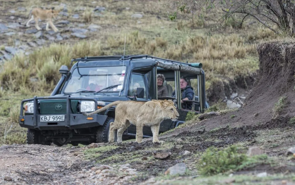 masai mara safari and beach packages